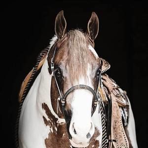 Meet your Posher, Lydia